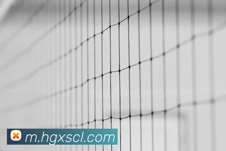 体育赛事直播